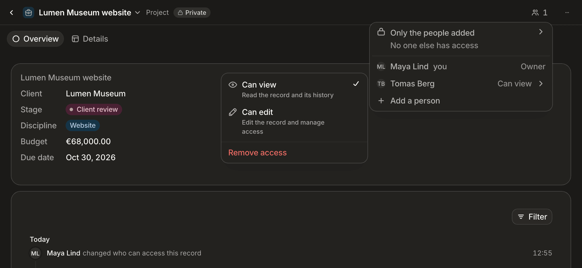 The access menu of a private record: Only the people added, the owner, a member who Can view, and the level menu open with Can view, Can edit and Remove access