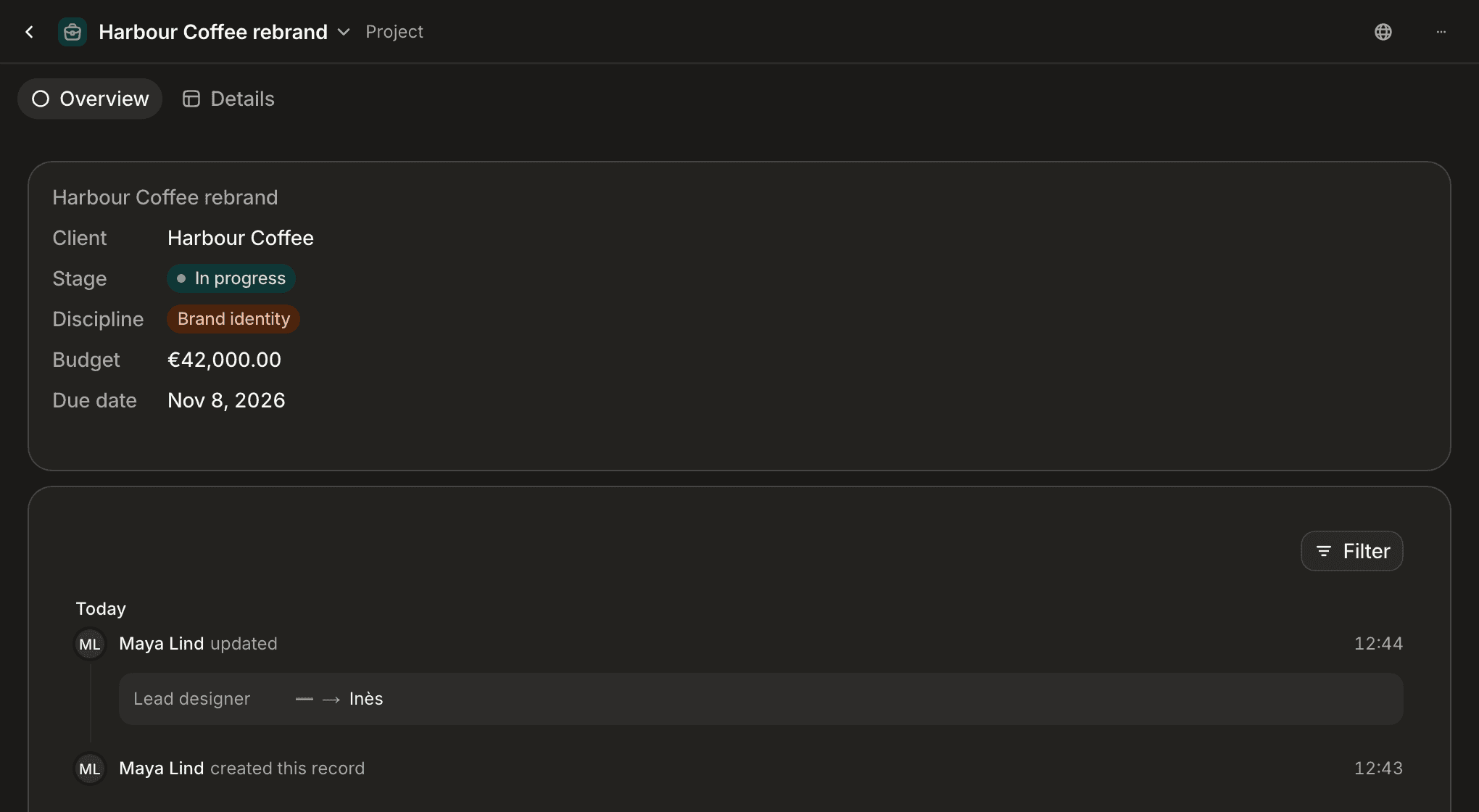 A record page in the app, shown through the Overview tab of a project: a card with the client, stage, discipline, budget and due date, above the record's activity